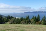 PICTURES/Astoria Column - Astoria/t_Tower (13).JPG